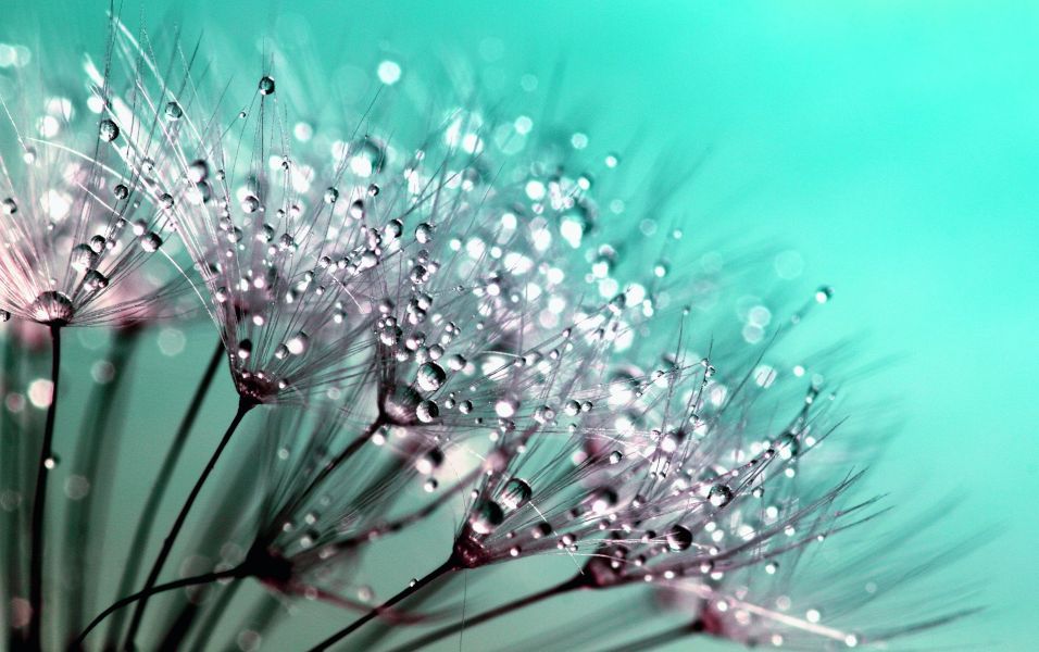 Soul Moments Fresh Soul Moments Fresh
